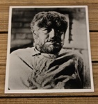 8 x10 Glossy, Black & White - The Wolfman