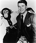 8 x10 Glossy, Black & White - "Bedtime For Bonzo", Ronald Reagan